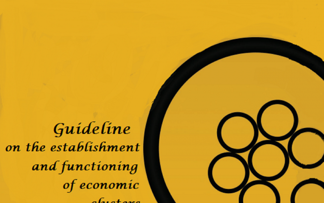 Economic empowerment of women – Guide on the Establishment and Functioning of Economic Clusters