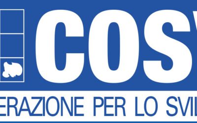 Coordinamento delle Organizzazioni del Servizio Volontario- COSV